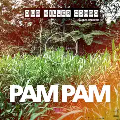Pam Pam (feat. Onechot) - Single by Dub Killer Combo album reviews, ratings, credits