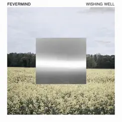 Wishing Well - Single by Fevermind album reviews, ratings, credits