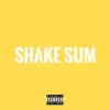 Shake Sum (feat. 1takejay) song lyrics