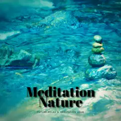 Meditation Nature by Future Relax & Meditation Club album reviews, ratings, credits