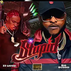 Stupid (feat. 2 3 Layoo) - Single by Big Bushgi album reviews, ratings, credits