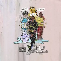 Flu Flamming (Remix) [feat. Lil Yachty & OhGeesy] Song Lyrics