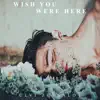 Wish You Were Here - Single album lyrics, reviews, download
