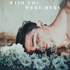 Wish You Were Here - Single by Ülvi Zeynalov album reviews, ratings, credits