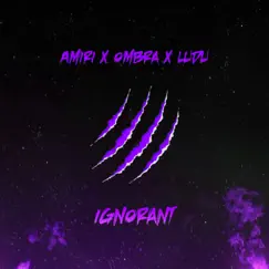 Ignorant - Single by Amiri, Ludu & Ombra album reviews, ratings, credits