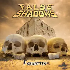 Forgotten - Single by False Shadows album reviews, ratings, credits