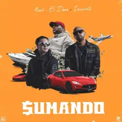 Sumando - Single by Yomil y El Dany & Insurrecto album reviews, ratings, credits