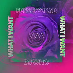 What I Want (Radio Edit) - Single by Freshcobar & DJ Who album reviews, ratings, credits