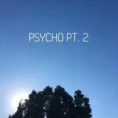 Psycho, Pt. 2 Song Lyrics