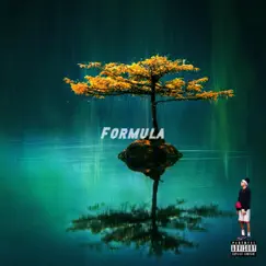 Formula - Single by Zay Suav album reviews, ratings, credits