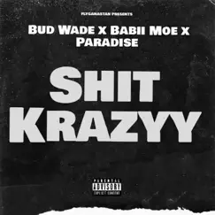Shit Krazyy (feat. Babii Moe & Paradise) Song Lyrics