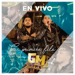 En Primera Fila (En Vivo) by Gente de Maza album reviews, ratings, credits