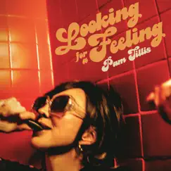 Looking for a Feeling by Pam Tillis album reviews, ratings, credits