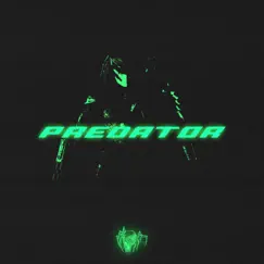Predator - Single by 045 YD album reviews, ratings, credits