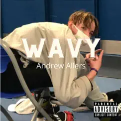 Wavy - Single by Andrew Allers album reviews, ratings, credits