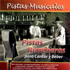 Pistas Musicales (Pistas Rancheras para Cantar y Beber) by Super Tamarindo All Stars album reviews, ratings, credits