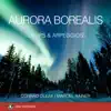 Aurora Borealis - Loops & Arpeggios album lyrics, reviews, download