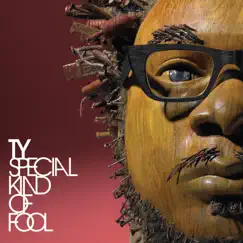 Special Kind of Fool by Ty album reviews, ratings, credits