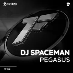 Pegasus - Single by DJ Spaceman album reviews, ratings, credits