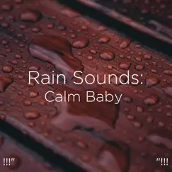Relaxing Rainstorm Song Lyrics