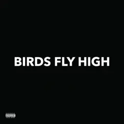 Birds Fly High - Single by LIONAIRE & 2Scratch album reviews, ratings, credits