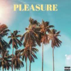 Pleasure (feat. Sentell) - Single by C.Andreas album reviews, ratings, credits