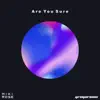 Are You Sure - Single album lyrics, reviews, download