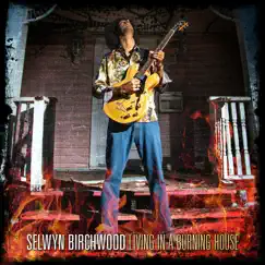 Living in a Burning House - Single by Selwyn Birchwood album reviews, ratings, credits