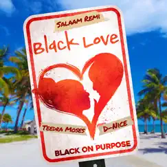 Black Love - Single by Salaam Remi, Teedra Moses & D-Nice album reviews, ratings, credits