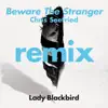 Beware The Stranger (Chris Seefried Remix) [feat. Trombone Shorty] - Single album lyrics, reviews, download