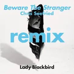 Beware The Stranger (Chris Seefried Remix) [feat. Trombone Shorty] - Single by Lady Blackbird album reviews, ratings, credits