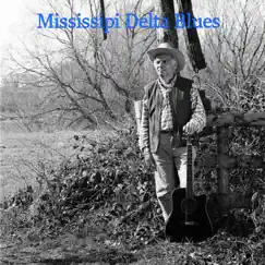 Mississippi Delta Blues - Single by Wolfgang Welke album reviews, ratings, credits