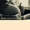 Bebé en el Vientre - Sonidos Mágicos para Calmar al Bebé y a la Madre album lyrics, reviews, download