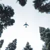 737 Max - Single album lyrics, reviews, download