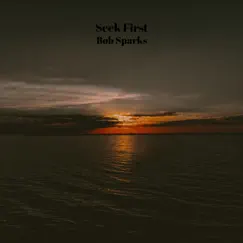 Seek First - Single by Bob Sparks album reviews, ratings, credits