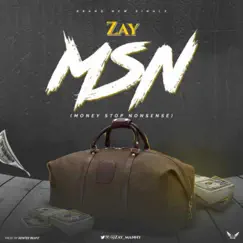 MSN (Money Stop Nonsense) Song Lyrics
