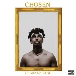 Chosen by Shabaka Kush album reviews, ratings, credits