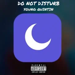 Do Not Disturb - Single by Young quintin album reviews, ratings, credits