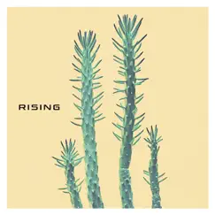 Rising - Single by Thousand Mile Music album reviews, ratings, credits