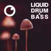 Liquid Drum & Bass Sessions 2020 Vol 34 album lyrics, reviews, download