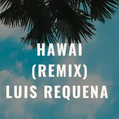 Hawai (Remix) Song Lyrics