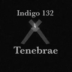Tenebrae - Single by Indigo 132 album reviews, ratings, credits