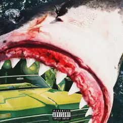 Shark Body Song Lyrics
