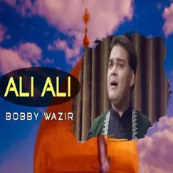 Ali Ali - Single by Bobby Wazir album reviews, ratings, credits