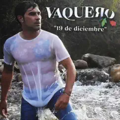 19 de Diciembre - Single by Vaquero album reviews, ratings, credits