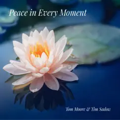 Peace in Every Moment Song Lyrics