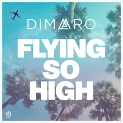 Flying so High (Extended Mix) Song Lyrics