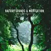 Nature Sounds & Meditation album lyrics, reviews, download