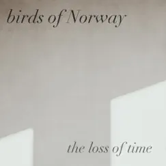 The Loss of Time - Single by Birds of Norway album reviews, ratings, credits