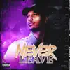 Never Leave - Single album lyrics, reviews, download